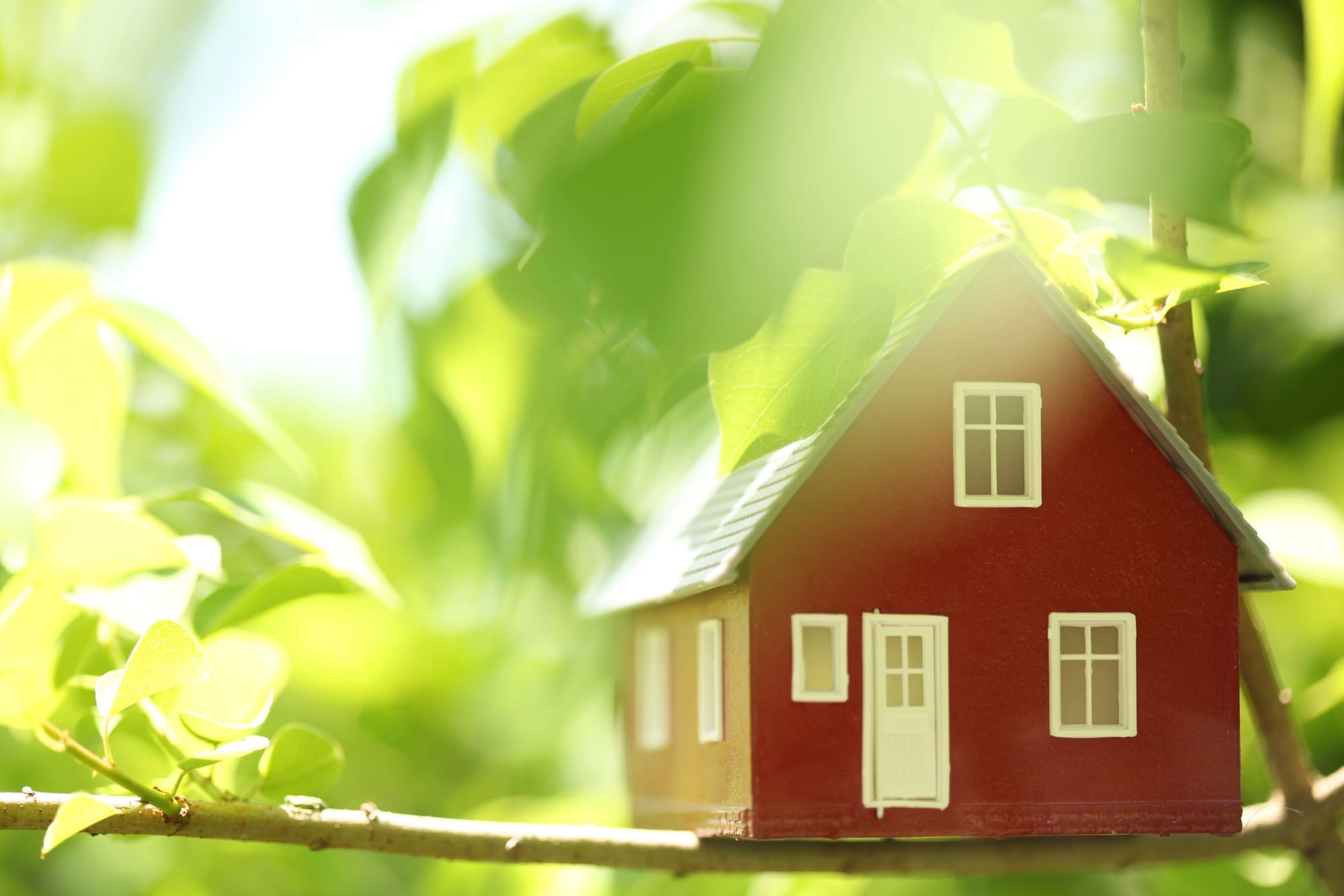Heat pump installation Danville energy-efficient home among green foliage