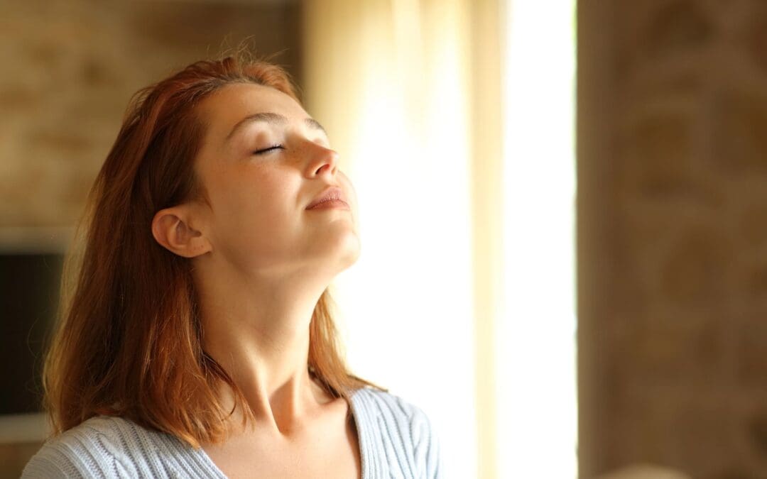 Air Duct Sanitizing Service in Lynchburg, VA: What Homeowners Need to Know